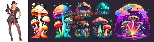 амфетамин Богданович