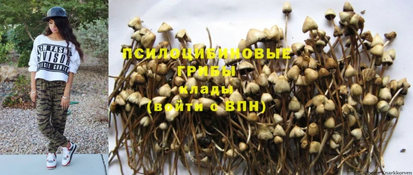 синтетический гашиш Богородск