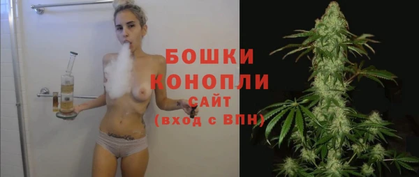 тгк Богородицк